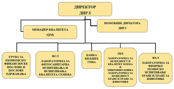 organizaciona struktura